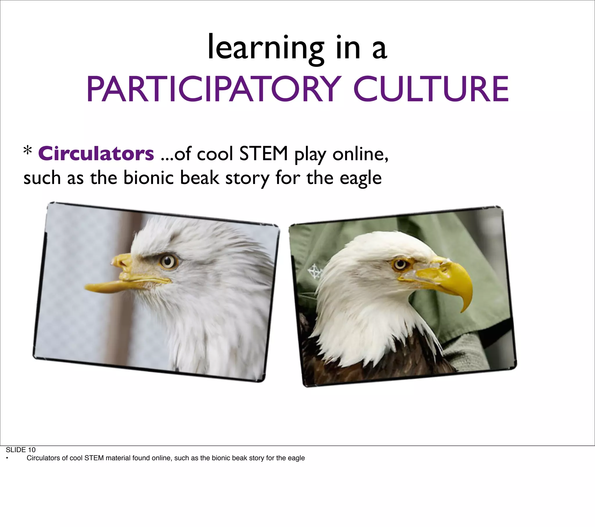 ZR08 Creating the STEM pipeline