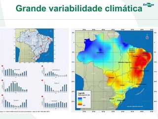 Grande variabilidade climática
 