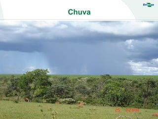 Chuva
 
