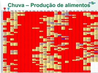 Chuva – Produção de alimentos
 