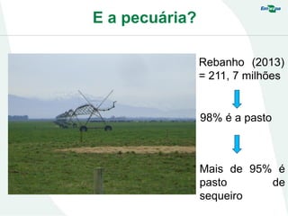 E a pecuária?
Rebanho (2013)
= 211, 7 milhões
98% é a pasto
Mais de 95% é
pasto de
sequeiro
 