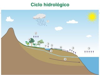 Ciclo hidrológico
 