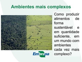 Como produzir
alimentos de
forma
sustentável e
em quantidade
suficiente, em
um mundo com
ambientes
cada vez mais
complexo?
Ambientes mais complexos
 