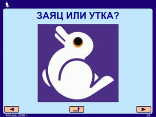 ЗАЯЦ ИЛИ УТКА? Москва, 2006 г. 24 