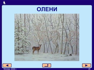 ОЛЕНИ Москва, 2006 г. 26 