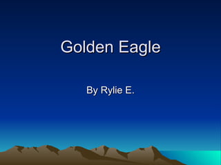 Golden Eagle By Rylie E. 