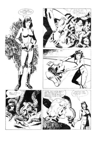 ZS - 0319 - Komandant Mark - TAOCI