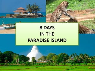 8 DAYS
IN THE
PARADISE ISLAND
 