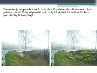 Tento most je vstupnou bránou do našej obce. Pre návštevníkov Brezovice to nie je
pekné privítanie. Čo by asi povedali na to, keby ich vítal takýto kvetinový koberec
pani učiteľky Dobrovičovej?

 