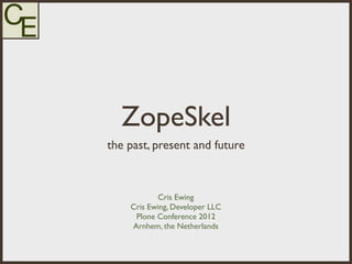 ZopeSkel
the past, present and future



           Cris Ewing
    Cris Ewing, Developer LLC
     Plone Conference 2012
    Arnhem, the Netherlands
 