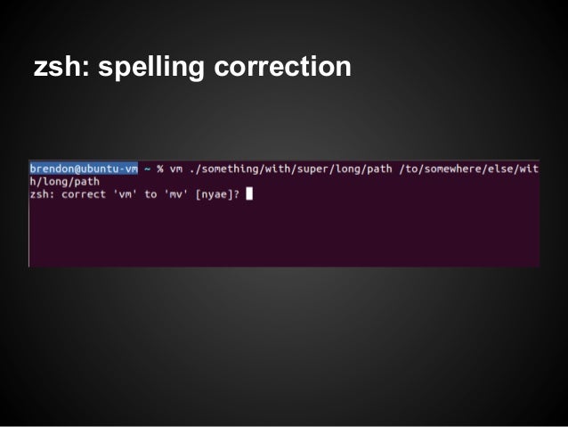 zsh: spelling correction 