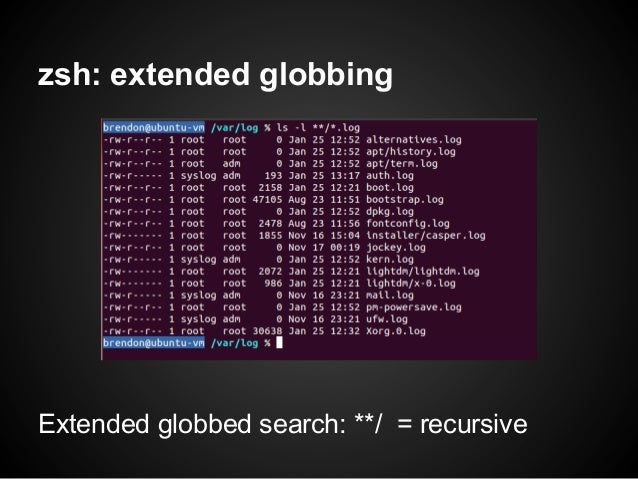 zsh: extended globbingExtended globbed search: **/ = recursive 