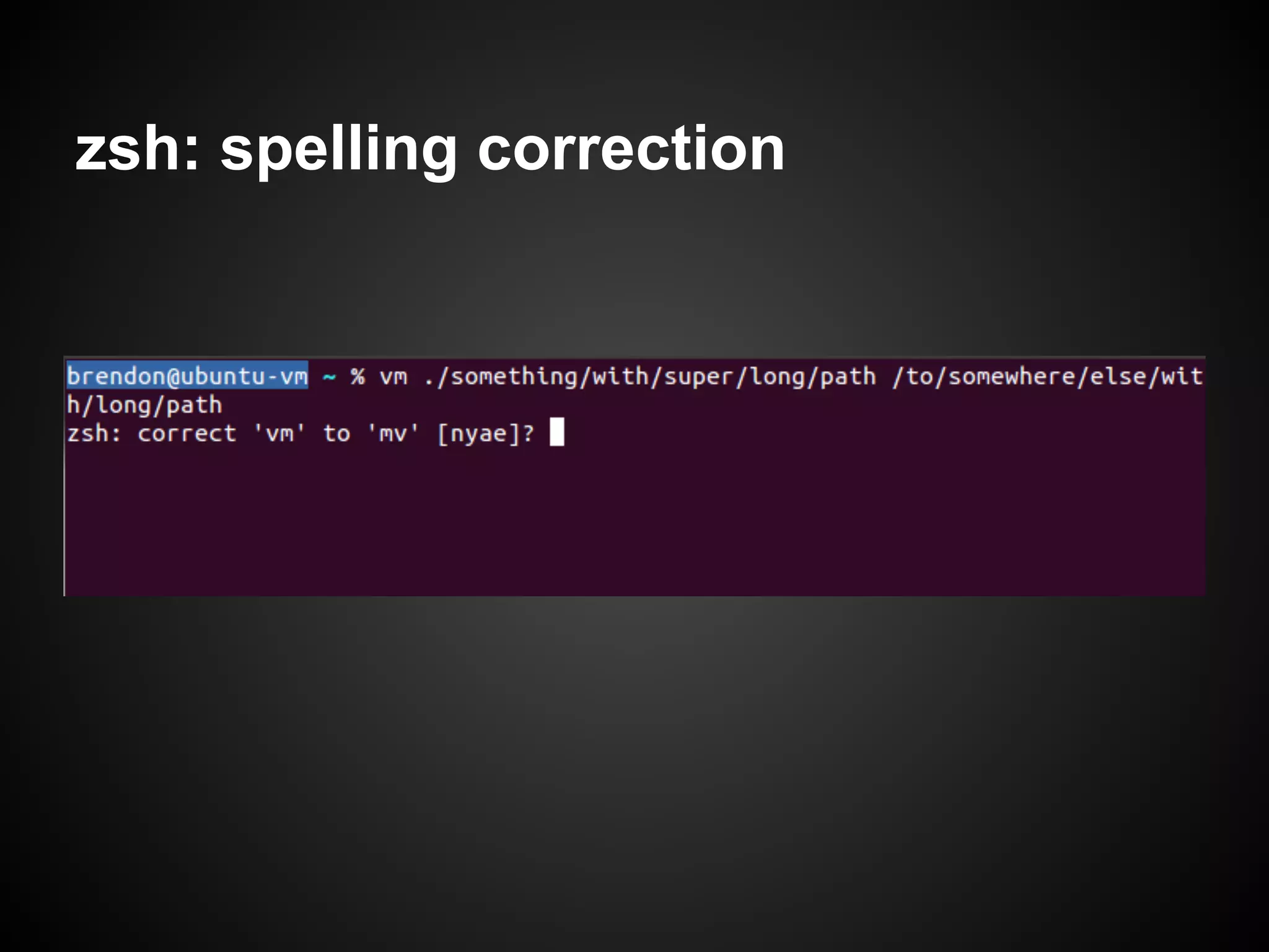 zsh: spelling correction
 