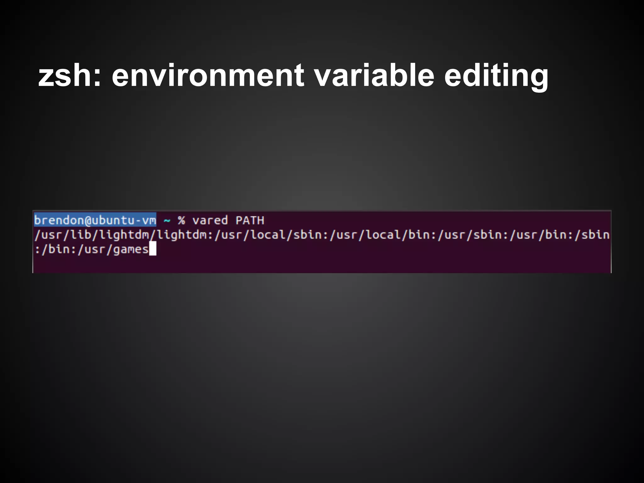 zsh: environment variable editing
 