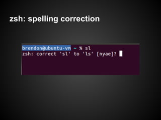 zsh: spelling correction
 