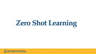 Zero Shot Learning
 
