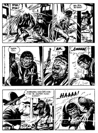 Zsv   3   Ciko Serif