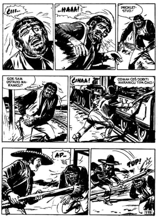 Zsv   3   Ciko Serif