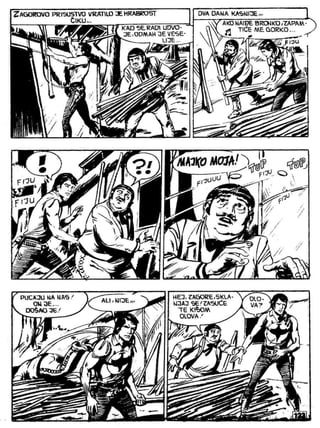 Zsv   3   Ciko Serif