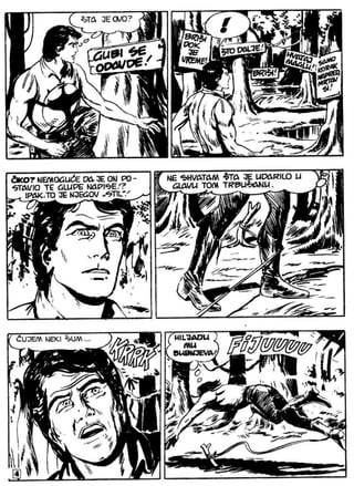 Zsv   3   Ciko Serif