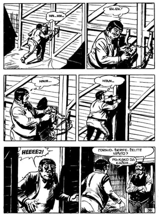 Zsv   3   Ciko Serif