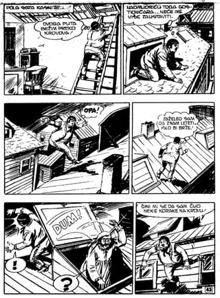 Zsv   3   Ciko Serif