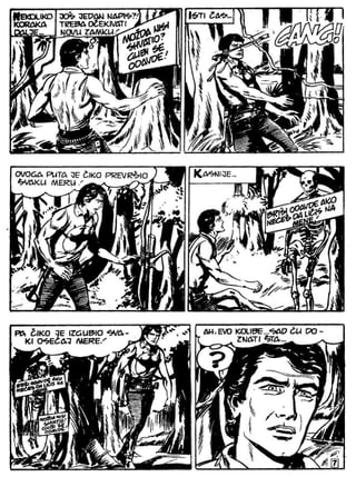 Zsv   3   Ciko Serif