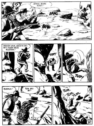 Zsv   3   Ciko Serif