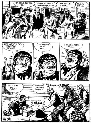 Zsv   3   Ciko Serif