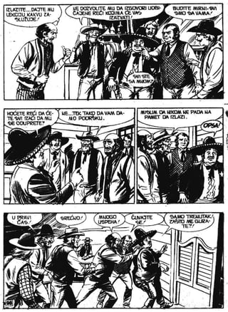 Zsv   3   Ciko Serif