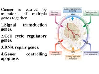 CELL CYCLE & CANCER for zoology and other branch of biology.ppt