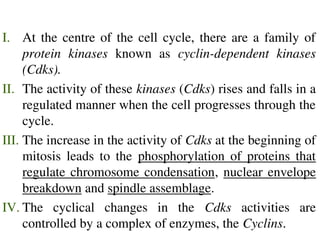 CELL CYCLE & CANCER for zoology and other branch of biology.ppt