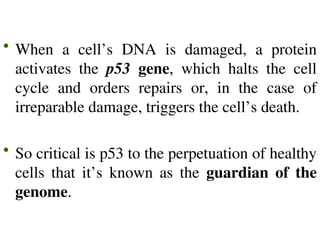 CELL CYCLE & CANCER for zoology and other branch of biology.ppt