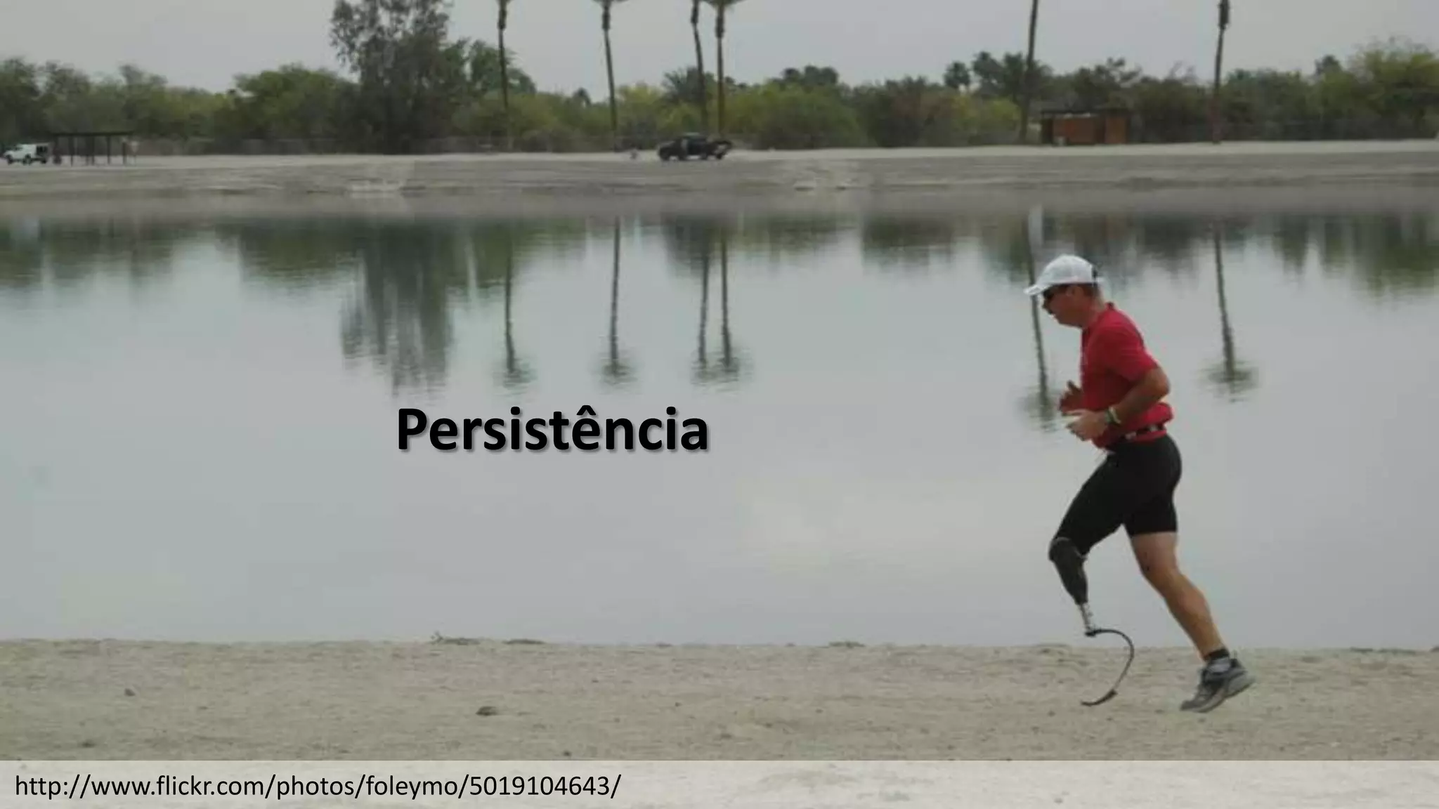 Persistência




http://www.flickr.com/photos/foleymo/5019104643/
 