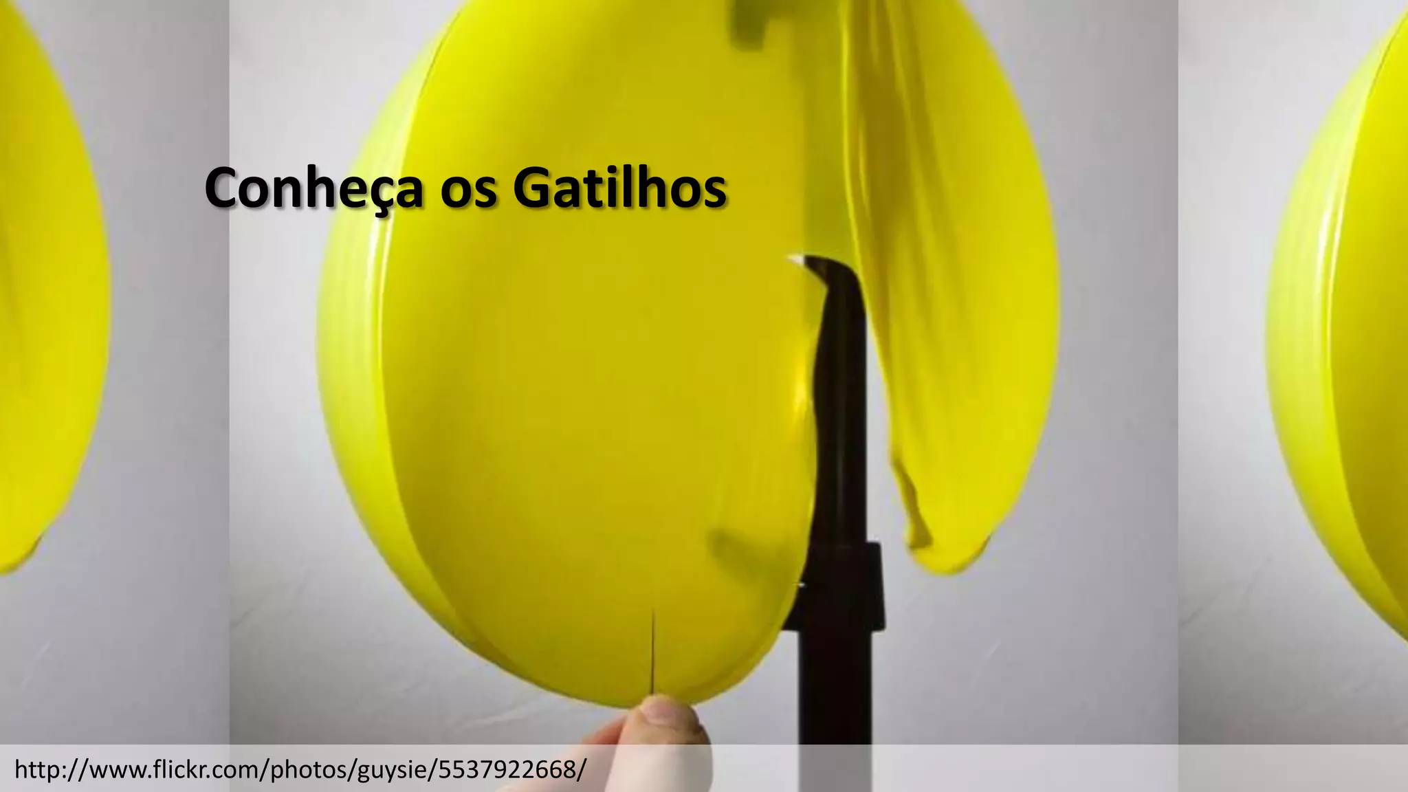 Conheça os Gatilhos




http://www.flickr.com/photos/guysie/5537922668/
 
