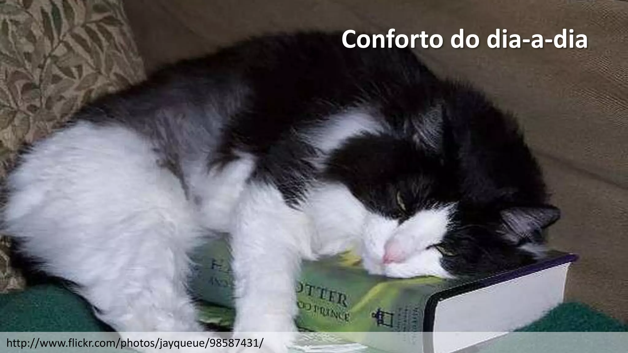 Conforto do dia-a-dia




http://www.flickr.com/photos/jayqueue/98587431/
 