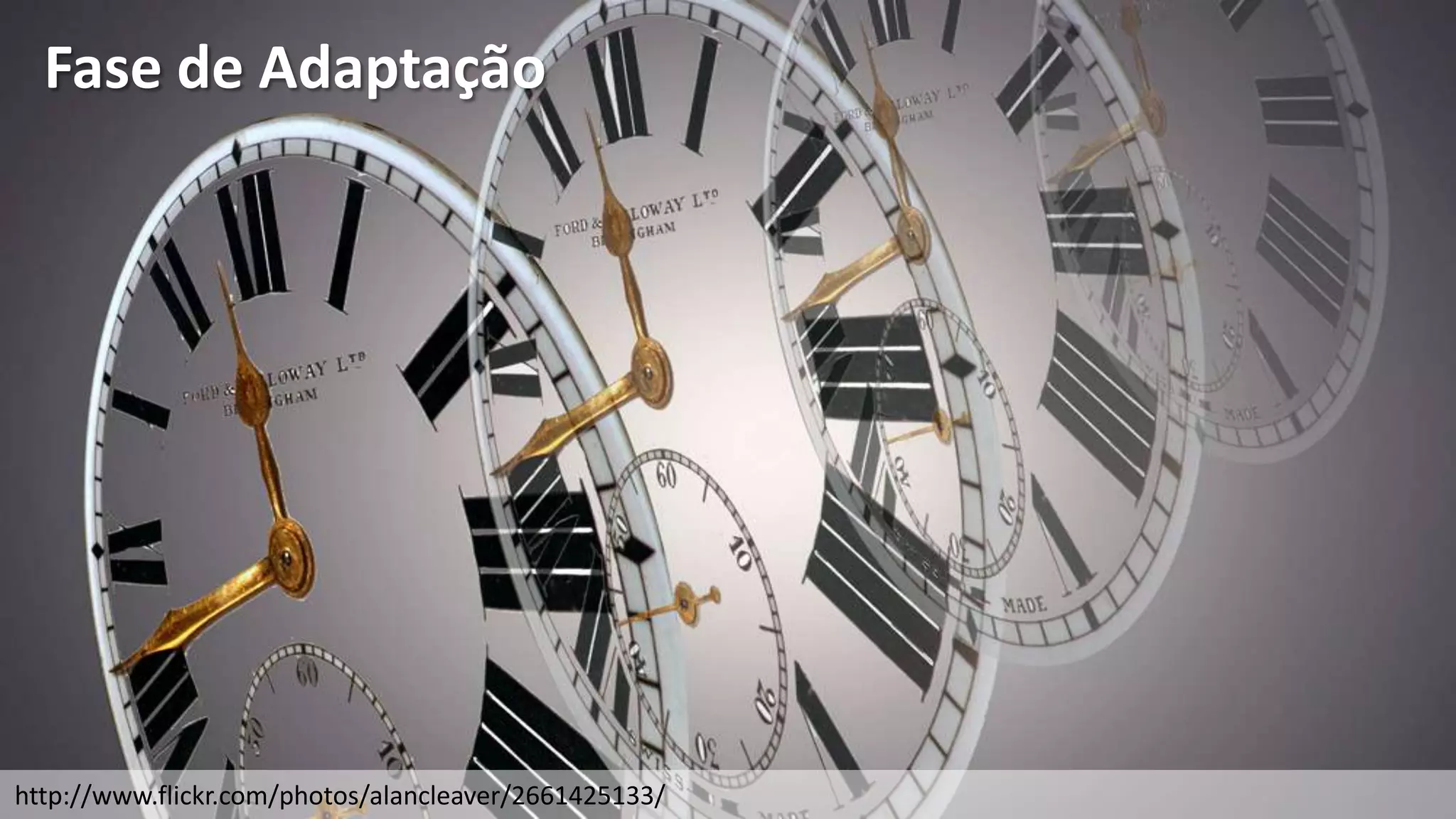 Fase de Adaptação




http://www.flickr.com/photos/alancleaver/2661425133/
 
