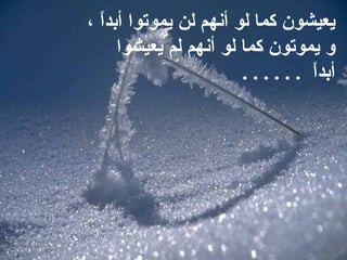 يعيشون كما لو أنهم لن يموتوا أبداً ،   و يموتون كما لو أنهم لم يعيشوا أبداً   . . . . . .  