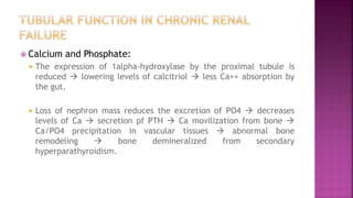 kidney - ADAPTIVE CHANGES OF KIDNEY IN KIDNEY DISEASES | PPTX