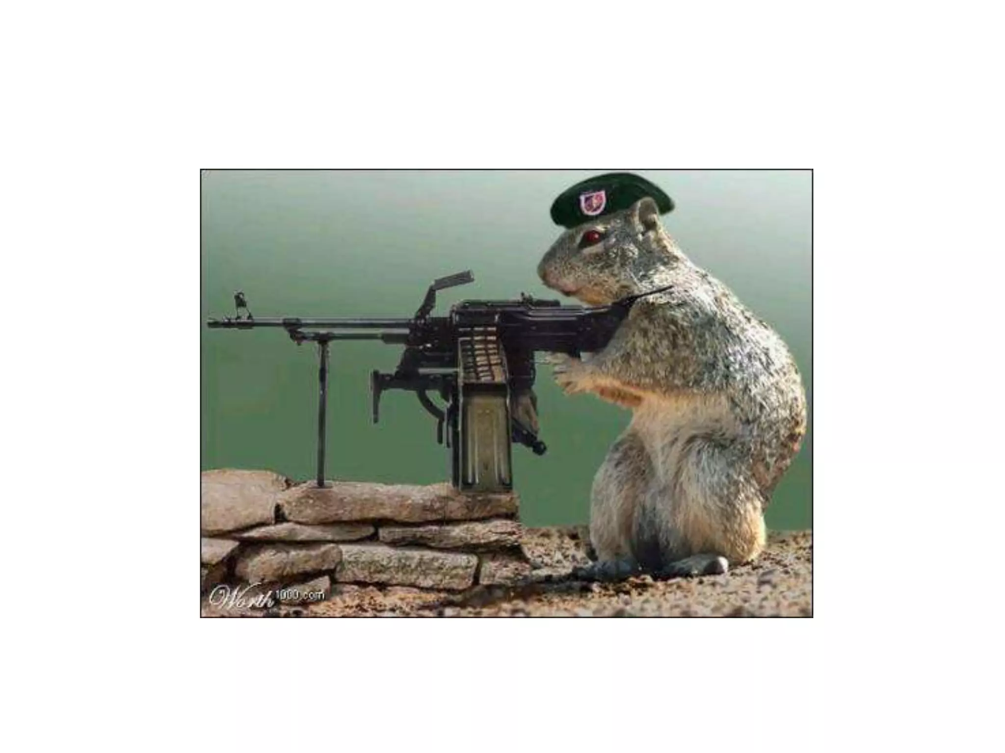 Shifting The Balance Of MediaSean Corcoran, Sr. AnalystApril 19, 2011