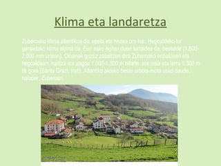 Klima eta landaretza
Zuberoako klima atlantikoa da, epela eta hezea oro har. Hegoaldeko lur
garaietako klima alpina da. Euri asko egiten duen lurraldea da, bestalde (1.800-
2.000 mm urtean). Oihanak guztiz zabaltzen dira Zuberoako erdialdean eta
hegoaldean: haritza eta pagoa 1.000-1.300 m bitarte, eta izeia eta lerra 1.300 m-
tik gora (Santa Grazi, Irati). Atlantiko aldeko beste arbola-mota asko daude,
halaber, Zuberoan.
 