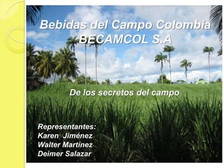 Bebidas del Campo ColombiaBECAMCOL S.A De los secretos del campo Representantes: Karen  Jiménez Walter Martínez Deimer Salazar 