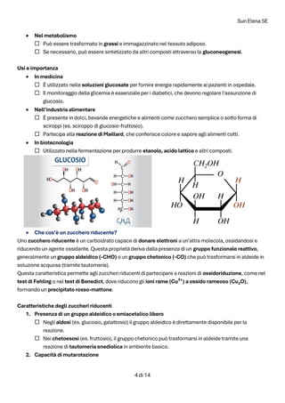 Sun Elena 5E
4 di 14
• Nel metabolismo
 Può essere trasformato in grassi e immagazzinato nel tessuto adiposo.
 Se necessario, può essere sintetizzato da altri composti attraverso la gluconeogenesi.
Usi e importanza
• In medicina
 È utilizzato nelle soluzioni glucosate per fornire energia rapidamente ai pazienti in ospedale.
 Il monitoraggio della glicemia è essenziale per i diabetici, che devono regolare l'assunzione di
glucosio.
• Nell’industria alimentare
 È presente in dolci, bevande energetiche e alimenti come zucchero semplice o sotto forma di
sciroppi (es. sciroppo di glucosio-fruttosio).
 Partecipa alla reazione di Maillard, che conferisce colore e sapore agli alimenti cotti.
• In biotecnologia
 Utilizzato nella fermentazione per produrre etanolo, acido lattico e altri composti.
• Che cos’è un zucchero riducente?
Uno zucchero riducente è un carboidrato capace di donare elettroni a un'altra molecola, ossidandosi e
riducendo un agente ossidante. Questa proprietà deriva dalla presenza di un gruppo funzionale reattivo,
generalmente un gruppo aldeidico (-CHO) o un gruppo chetonico (-CO) che può trasformarsi in aldeide in
soluzione acquosa (tramite tautomeria).
Questa caratteristica permette agli zuccheri riducenti di partecipare a reazioni di ossidoriduzione, come nel
test di Fehling o nel test di Benedict, dove riducono gli ioni rame (Cu²⁺) a ossido rameoso (Cu₂O),
formando un precipitato rosso-mattone.
Caratteristiche degli zuccheri riducenti
1. Presenza di un gruppo aldeidico o emiacetalico libero
 Negli aldosi (es. glucosio, galattosio) il gruppo aldeidico è direttamente disponibile per la
reazione.
 Nei chetoesosi (es. fruttosio), il gruppo chetonico può trasformarsi in aldeide tramite una
reazione di tautomeria enediolica in ambiente basico.
2. Capacità di mutarotazione
 