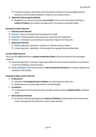 Sun Elena 5E
5 di 14
 In soluzione acquosa, gli zuccheri riducenti possono cambiare tra le forme α e β, passando
attraverso una forma aperta aldeidica o chetonica, che è quella reattiva.
3. Capacità di ridurre agenti ossidanti
 Reagiscono con soluzioni contenenti ioni metallici, come il rame del reattivo di Fehling o il
reattivo di Tollens (che contiene ioni argento Ag⁺), formando un precipitato visibile.
Esempi di zuccheri riducenti
• Monosaccaridi riducenti
 Glucosio – Aldoso, principale fonte di energia per le cellule.
 Galattosio – Strutturalmente simile al glucosio, importante nel metabolismo.
 Fruttosio – Chetoesoso, può isomerizzarsi a glucosio e reagire come riducente.
• Disaccaridi riducenti
 Maltosio (glucosio + glucosio) – Contiene un carbonio anomerico libero.
 Lattosio (glucosio + galattosio) – Anche questo ha un gruppo riducente disponibile.
Zuccheri NON riducenti
Alcuni zuccheri non possiedono un gruppo emiacetalico libero e quindi non possono ridurre gli agenti
ossidanti.
 Saccarosio (glucosio + fruttosio): il legame glicosidico tra i due monomeri impedisce la conversione
in una forma aldeidica o chetonica libera.
 Amido e glicogeno: sono polisaccaridi con solo un'estremità riducente per molecola, quindi la loro
reattività è molto limitata.
Importanza degli zuccheri riducenti
• In laboratorio
 Utilizzati nei test diagnostici per il diabete, per rilevare glucosio nelle urine.
 Identificazione di zuccheri negli alimenti e nei fluidi biologici.
• In medicina
 La presenza di zuccheri riducenti nelle urine (glicosuria) può indicare diabete mellito o problemi
renali.
• Nell'industria alimentare
 Gli zuccheri riducenti partecipano alla reazione di Maillard, fondamentale nella formazione del
colore e del sapore di cibi cotti (pane, carne arrostita, biscotti).
 