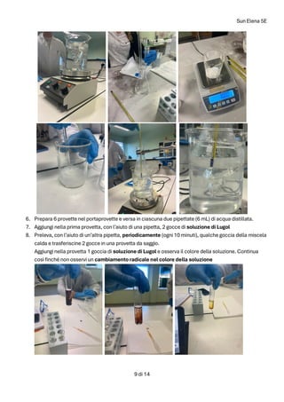 Sun Elena 5E
9 di 14
6. Prepara 6 provette nel portaprovette e versa in ciascuna due pipettate (6 mL) di acqua distillata.
7. Aggiungi nella prima provetta, con l’aiuto di una pipetta, 2 gocce di soluzione di Lugol
8. Preleva, con l’aiuto di un’altra pipetta, periodicamente (ogni 10 minuti), qualche goccia della miscela
calda e trasferiscine 2 gocce in una provetta da saggio.
Aggiungi nella provetta 1 goccia di soluzione di Lugol e osserva il colore della soluzione. Continua
così finché non osservi un cambiamento radicale nel colore della soluzione
 