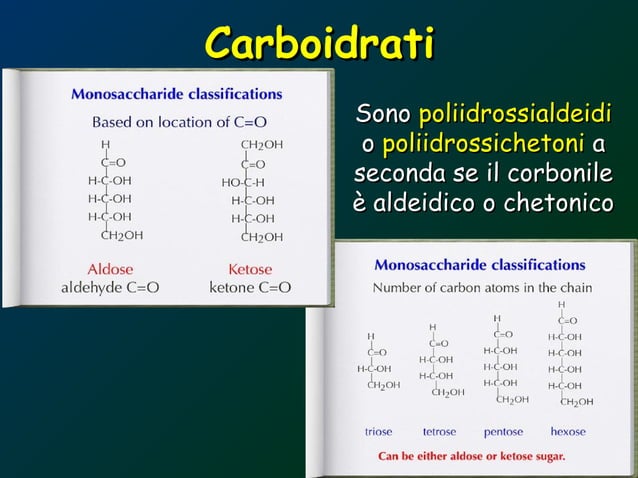 All you want know about carbohydrates.ppt