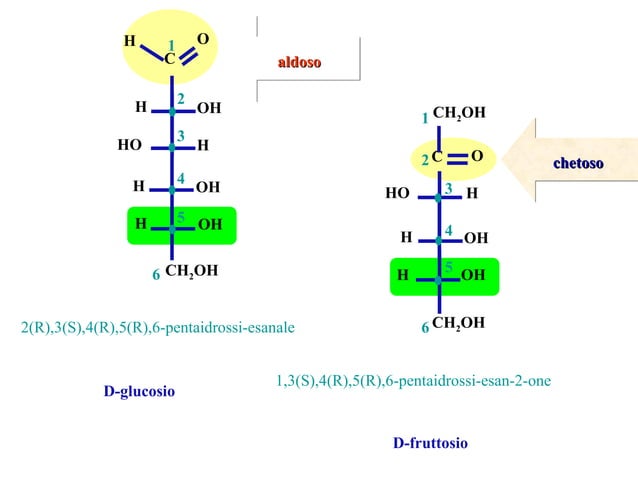 All you want know about carbohydrates.ppt