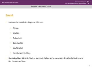 www.gefluegel-thesen.de/Infopool
Wo Verantwortung Qualität erzeugt.
Wir, die Geflügelwirtschaft für Deutschland.
Infopool: Tierschutz l
Zucht
• Insbesondere sind dies folgende Faktoren:
• Fitness
• Vitalität
• Robustheit
• Beinstabilität
• Lauffähigkeit
• Herz-Lungen-Funktion
• Dieses Zuchtverständnis führt zu kontinuierlichen Verbesserungen des Wohlbefindens und
der Fitness der Tiere.
4
Zucht
 