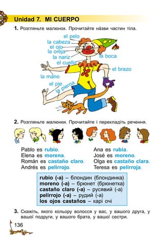 136
Unidad 7. MI CUERPO
2. Розгляньте малюнки. Прочитайте і перекладіть речення.
Pablo es rubio.	 Ana es rubia.
Elena es morena.	 José es moreno.
Román es castaño claro.	 Olga es castaño clara.
Andrés es pelirrojo.	 Teresa es pelirroja.
rubio (-a) – блондин (блондинка)
moreno (-a) – брюнет (брюнетка)
castaño claro (-a) – русявий (-а)
pelirrojo (-a) – рудий (-а)
los ojos castaños – карі очі
3. Скажіть, якого кольору волосся у вас, у вашого друга, у
вашої подруги, у вашого брата, у вашої сестри.
el pelo
el ojo
la nariz
el cuello
la mano
el pie
la cabeza
la oreja
la boca
el brazo
la pierna
1. Розгляньте малюнок. Прочитайте нáзви частин тіла.
 