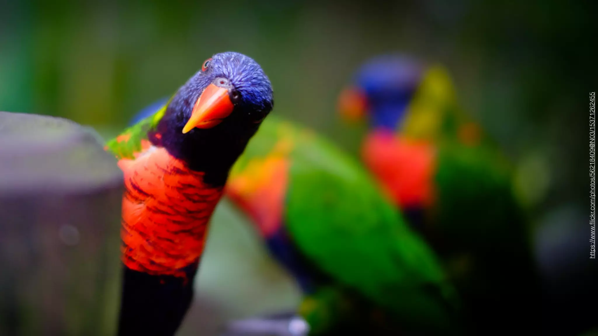 DUTCH PHP
CONFERENCE
https://www.ﬂickr.com/photos/56218409@N03/15371262455
 